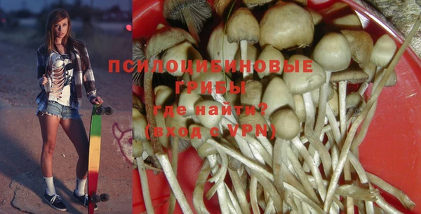PSILOCYBIN Алзамай